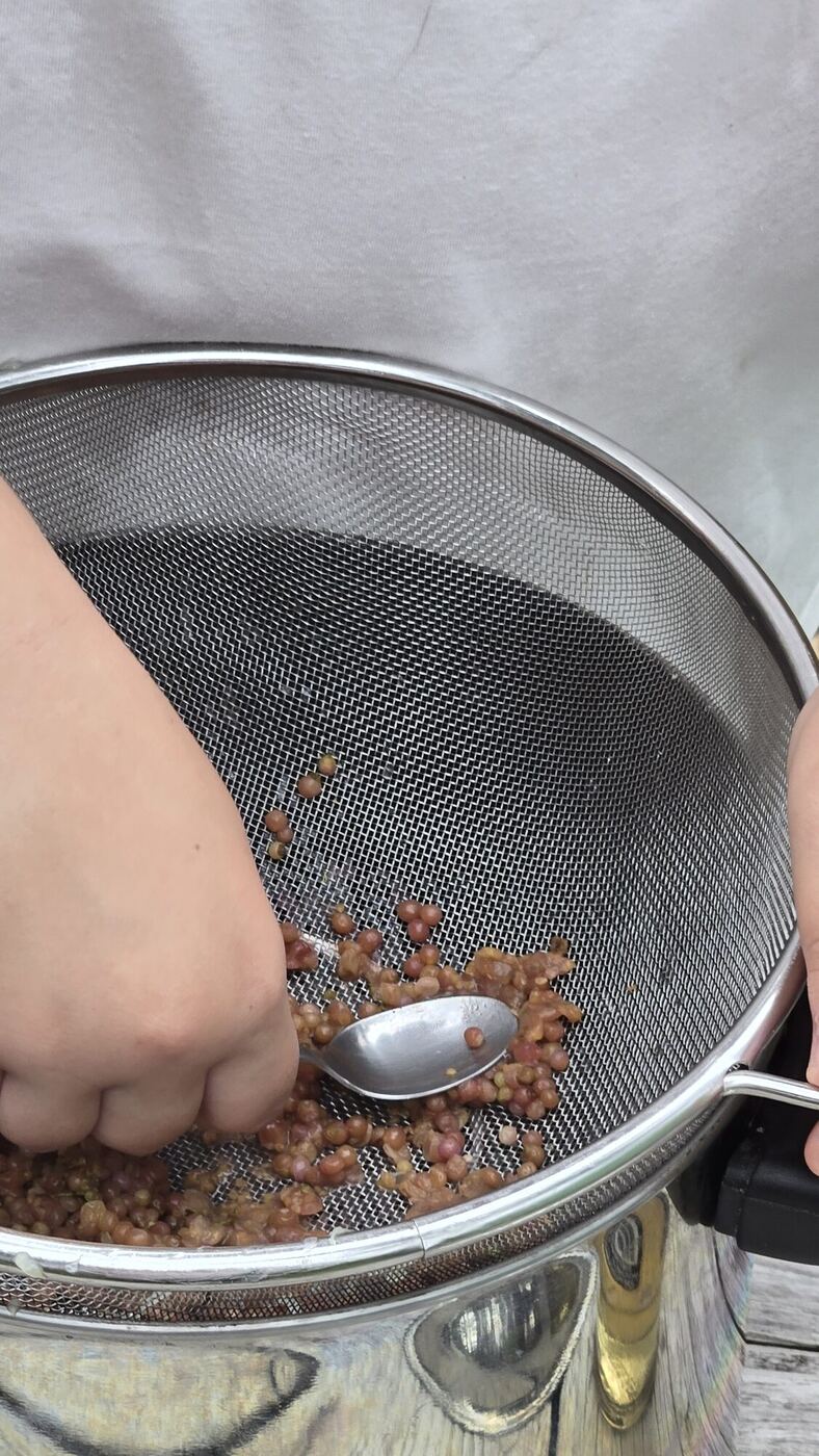 A hand pressing beautyberries through a strainer with a spoon