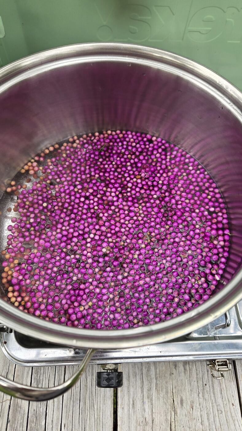 A pot full of purple beautyberries