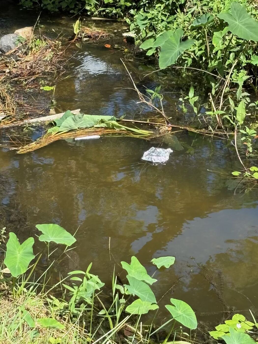 A small foil boat floating on the creek