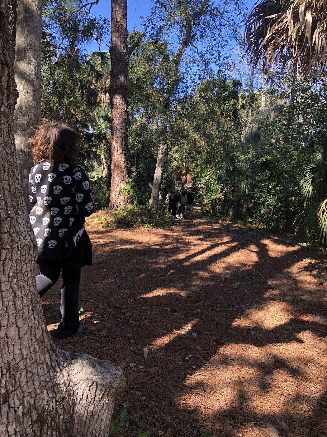 Hand-made protest signs on the forest path