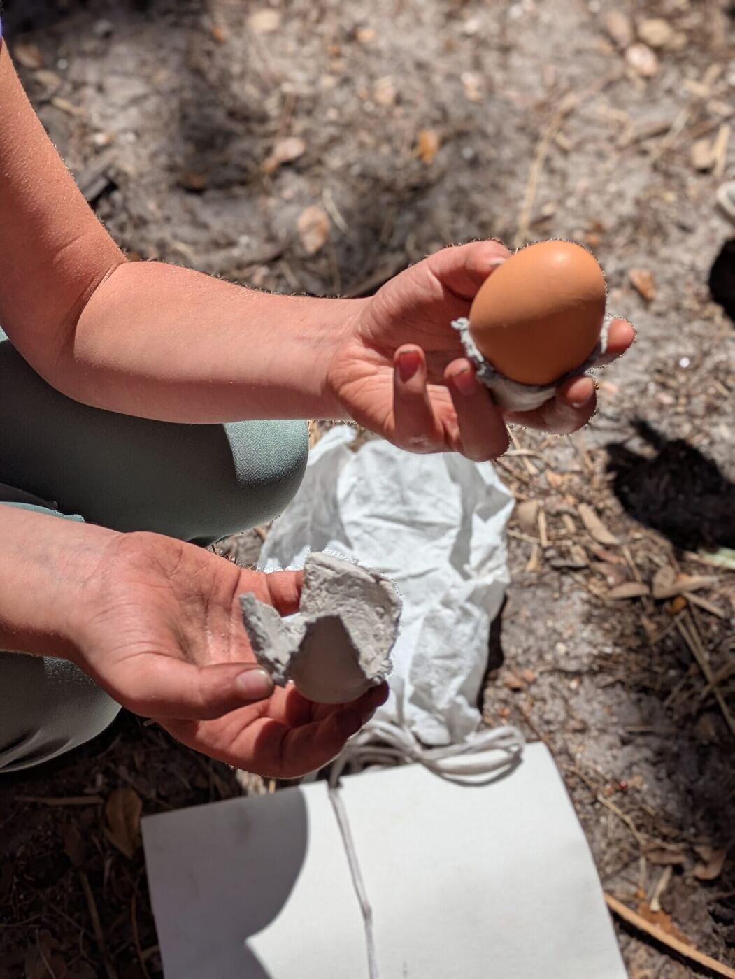 Hands packing an egg into a cardboard container
