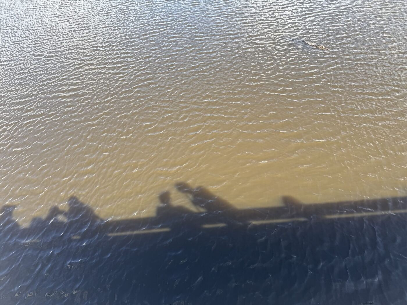 Shadows of the group and a walkway rail on brown water