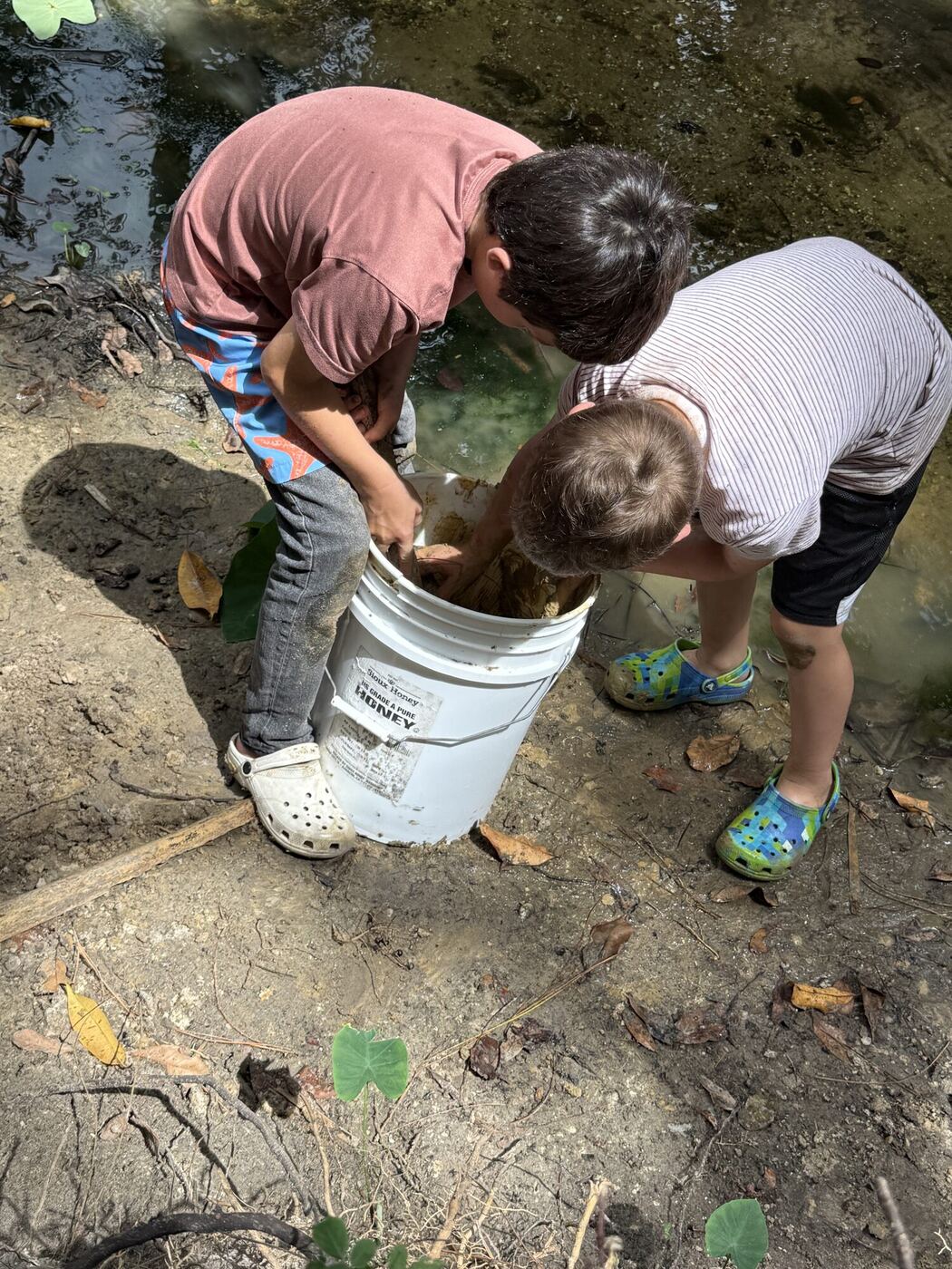 Two children seen from above, heads down over a bucket of creek clay