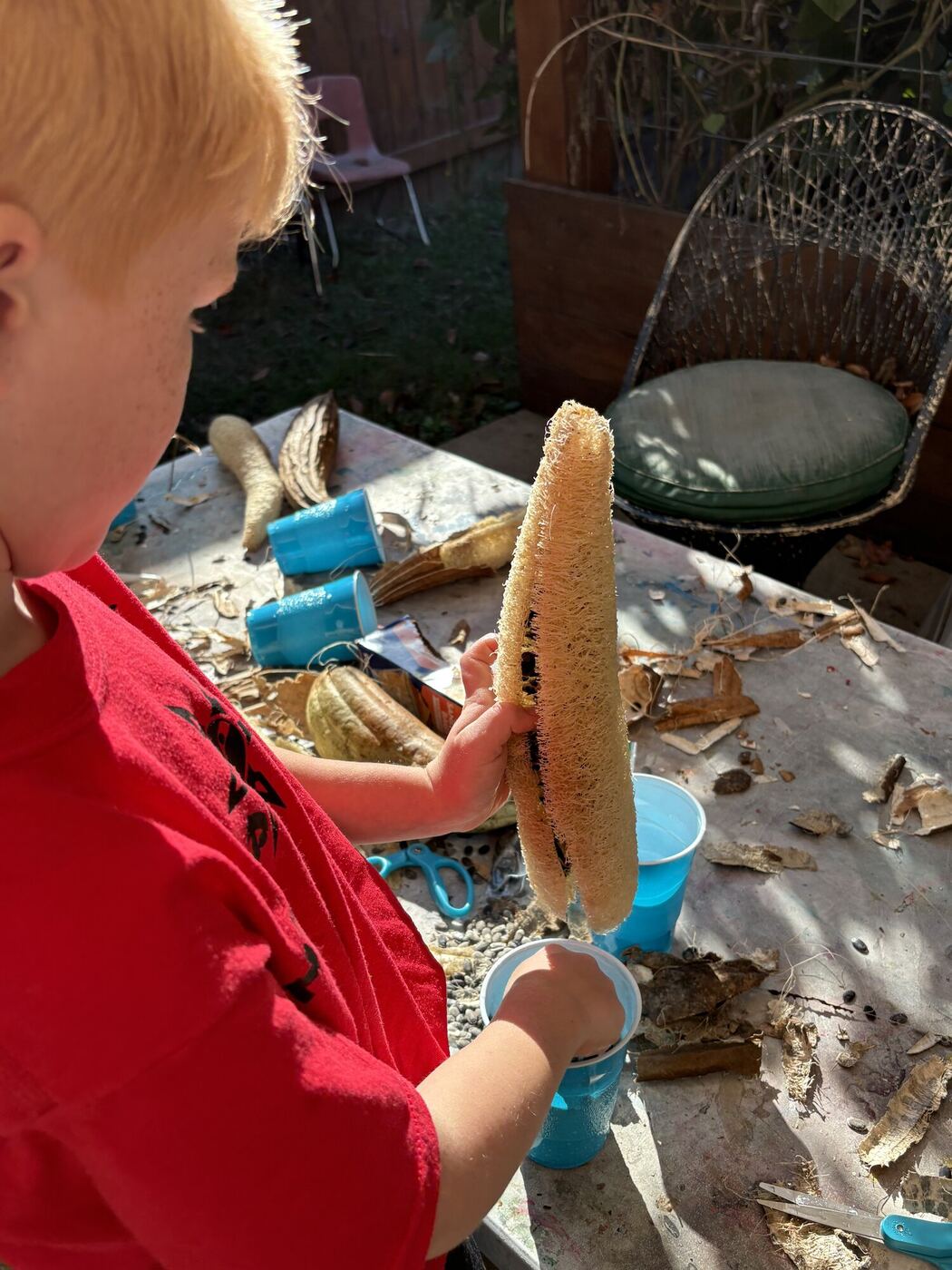 A child seen from behind, peeling the dried shell off a luffa at the outdoor table