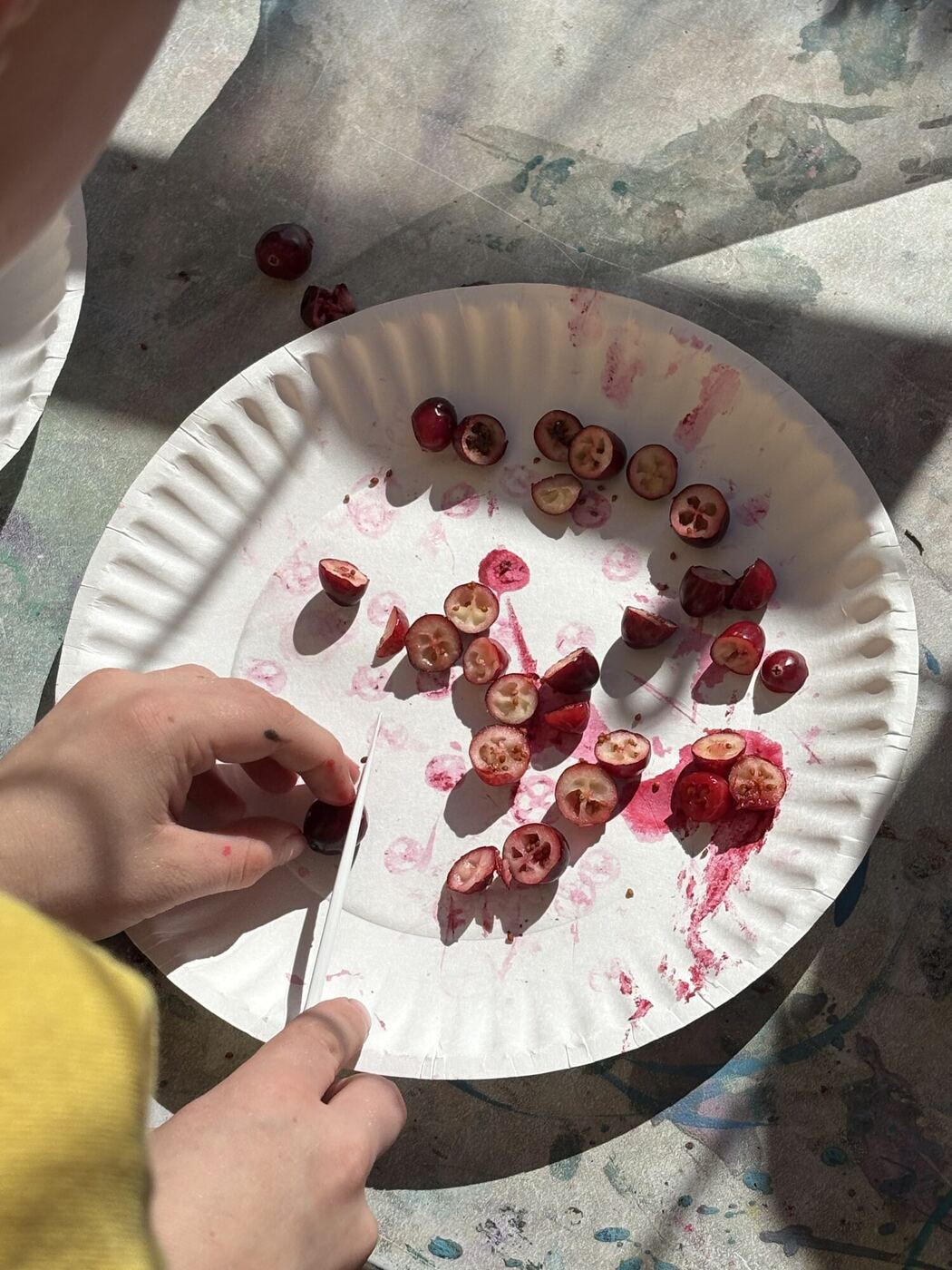 Hands cutting cranberries in half on a paper plate
