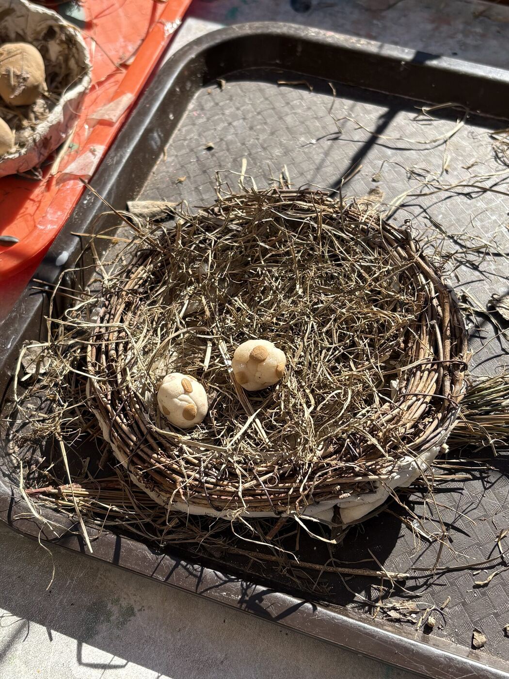 A woven nest of dried grass holding two clay eggs