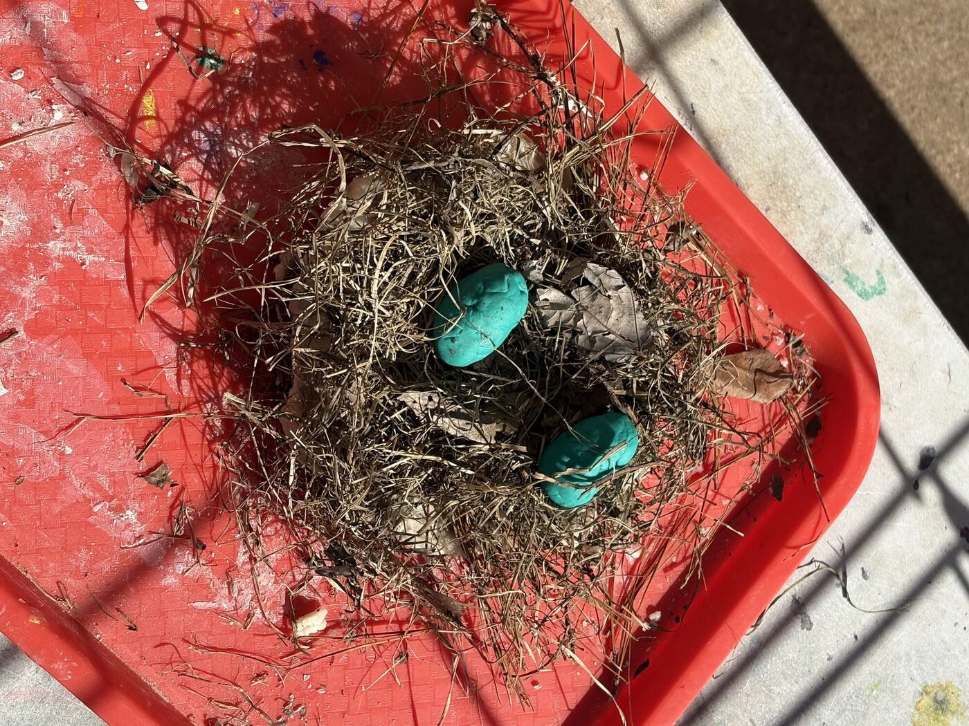 A nest on a red tray with two blue clay eggs