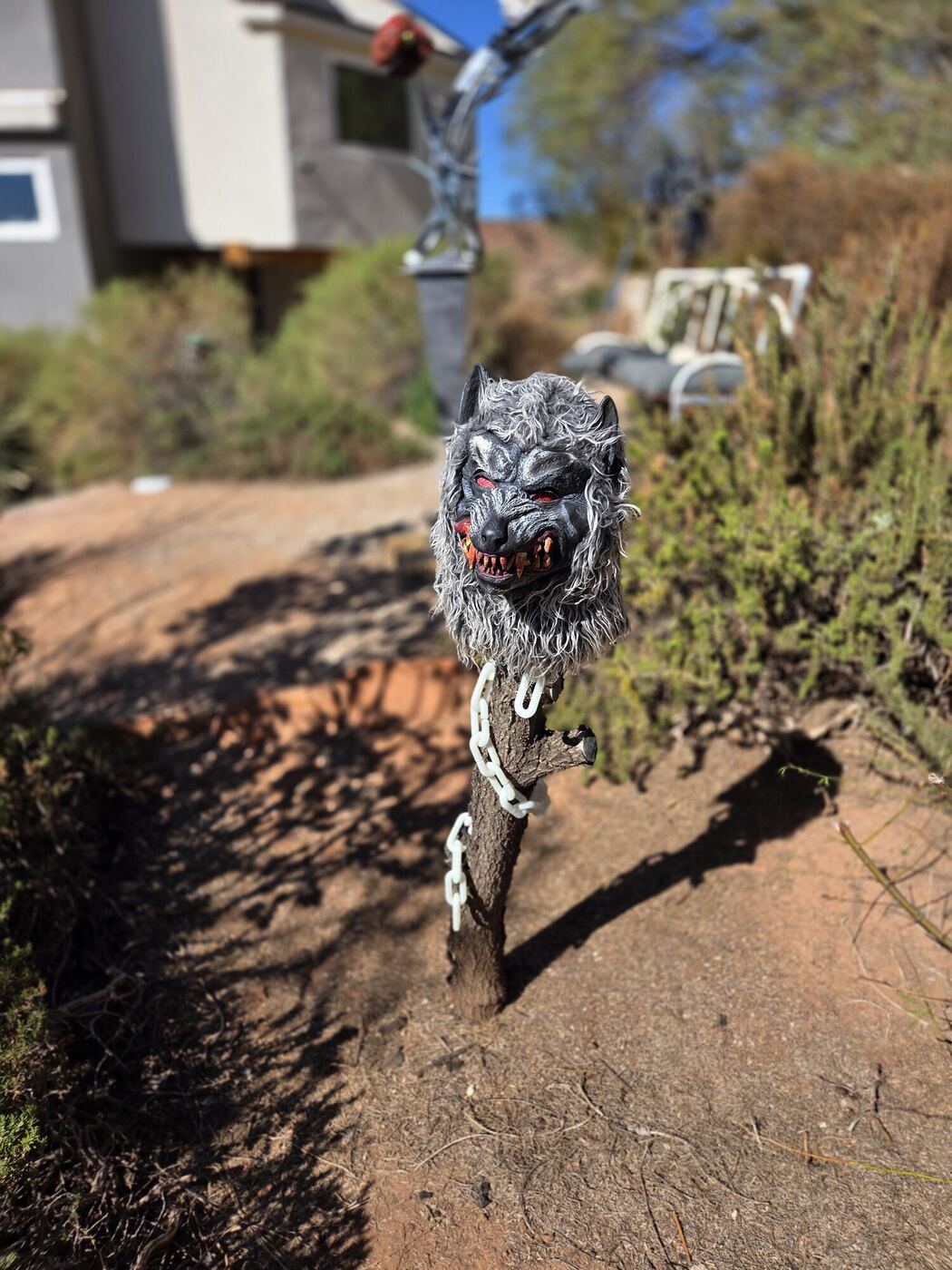 A snarling wolf mask on a stake wrapped in a white chain, beside a dirt path