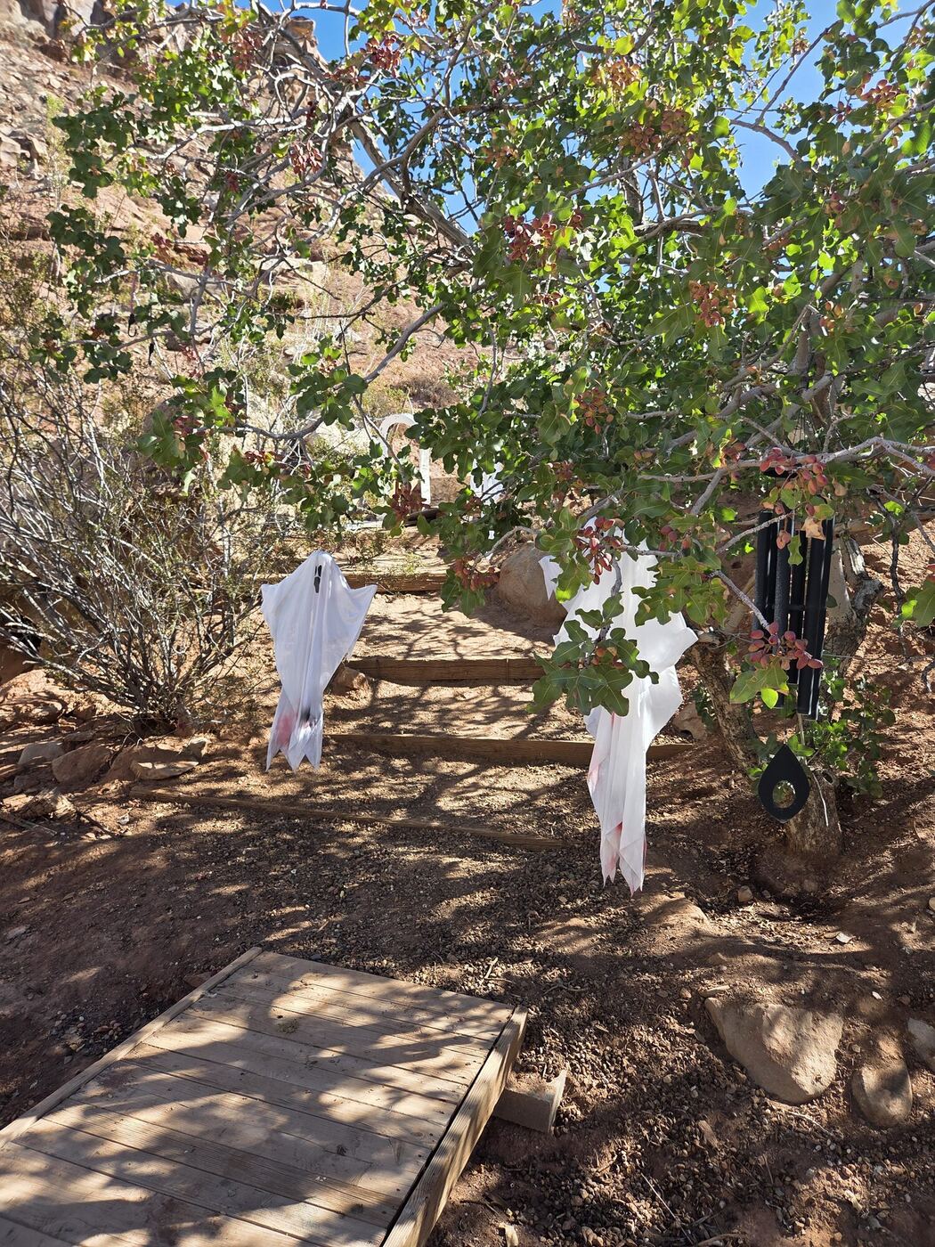 Two cloth ghosts hanging in a tree over a small wooden bridge